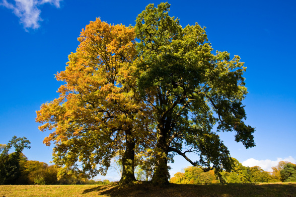Jeder steht führ S-ICH ALL-EIN!