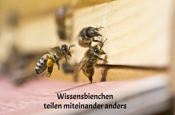 Wissensbienchen